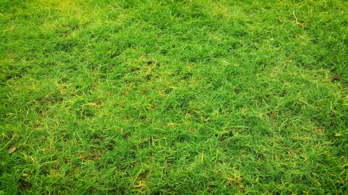 De voordelen van grasmatten kopen voor jouw tuin