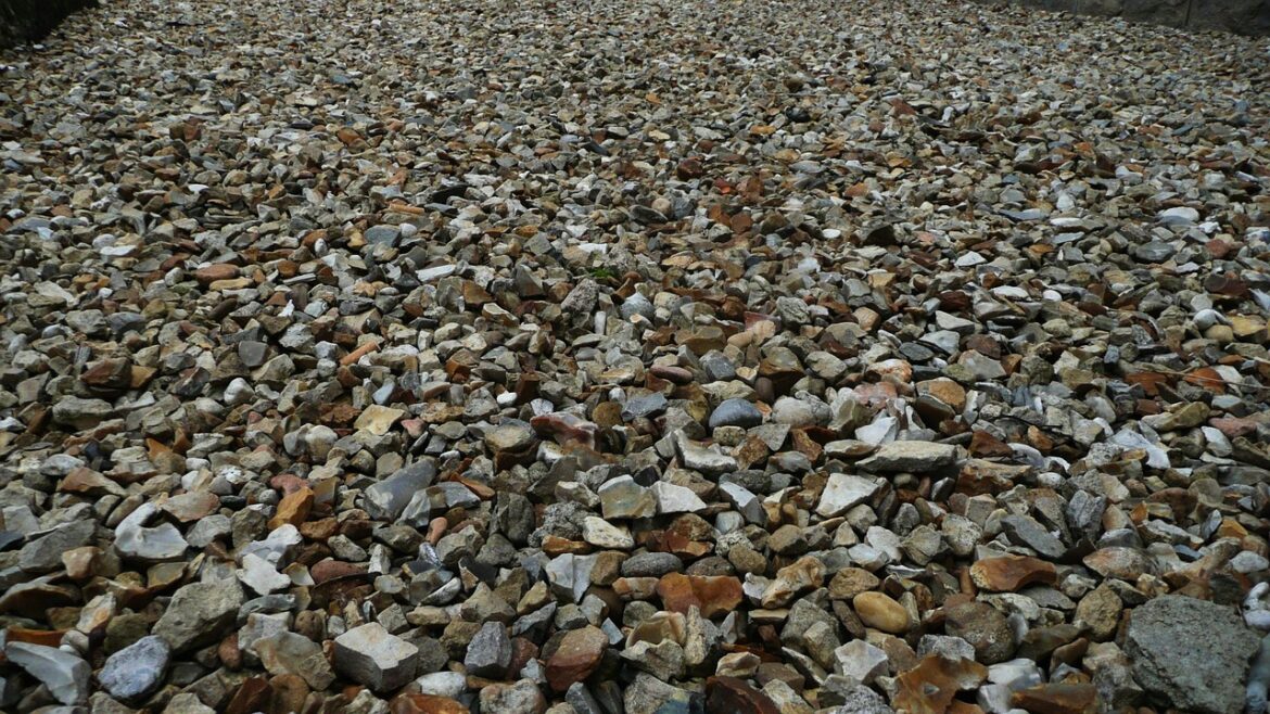 Ballast voor oprit of tuinpad: wanneer grof beter is dan fijn